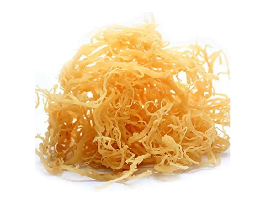 sea moss two face aesthetics