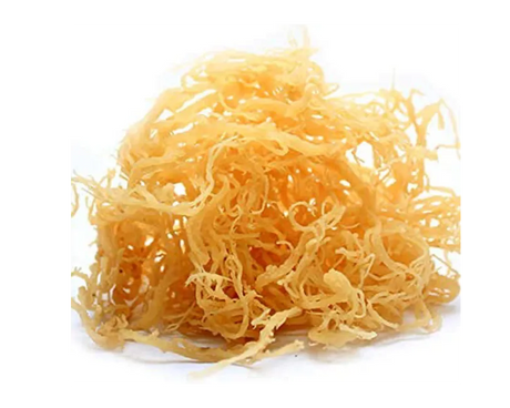 sea moss two face aesthetics